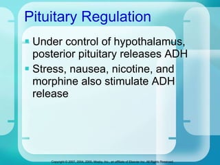 Pituitary Regulation Under control of hypothalamus, posterior pituitary releases ADH Stress, nausea, nicotine, and morphine also stimulate ADH release 