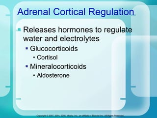 Adrenal Cortical Regulation Releases hormones to regulate water and electrolytes Glucocorticoids Cortisol Mineralocorticoids Aldosterone 