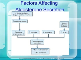 Factors Affecting  Aldosterone Secretion 