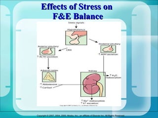 Effects of Stress on  F&E Balance 