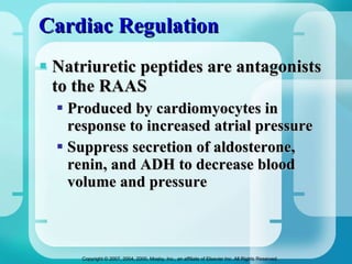 Cardiac Regulation Natriuretic peptides are antagonists to the RAAS Produced by cardiomyocytes in response to increased atrial pressure Suppress secretion of aldosterone, renin, and ADH to decrease blood volume and pressure 