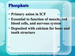 Phosphate Primary anion in ICF Essential to function of muscle, red blood cells, and nervous system Deposited with calcium for bone and tooth structure 