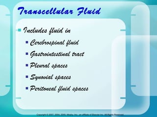 Transcellular Fluid Includes fluid in Cerebrospinal fluid Gastrointestinal tract Pleural spaces Synovial spaces Peritoneal fluid spaces 