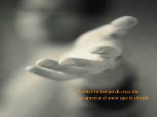 Pierdes tu tiempo día tras día  sin apreciar el amor que te ofrecía   