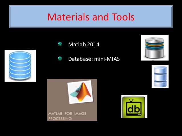 Final thesis defense presentation