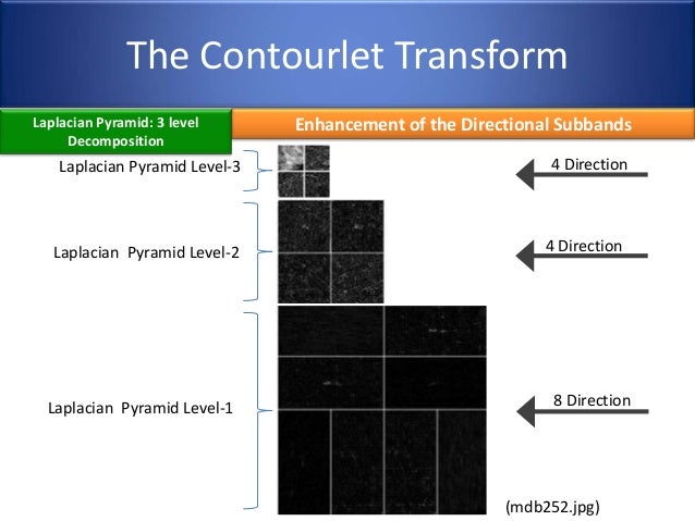 Contourlet transform thesis 03 image