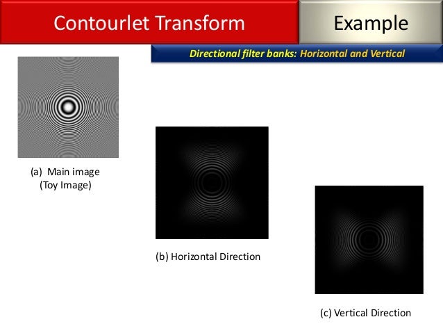 Contourlet transform thesis 08 picture