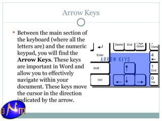 Arrow Keys Between the main section of the keyboard (where all the letters are) and the numeric keypad, you will find the  Arrow Keys . These keys are important in Word and allow you to effectively navigate within your document. These keys move the cursor in the direction indicated by the arrow. 