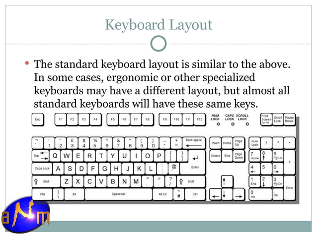 MS Word Basics Training | PPT
