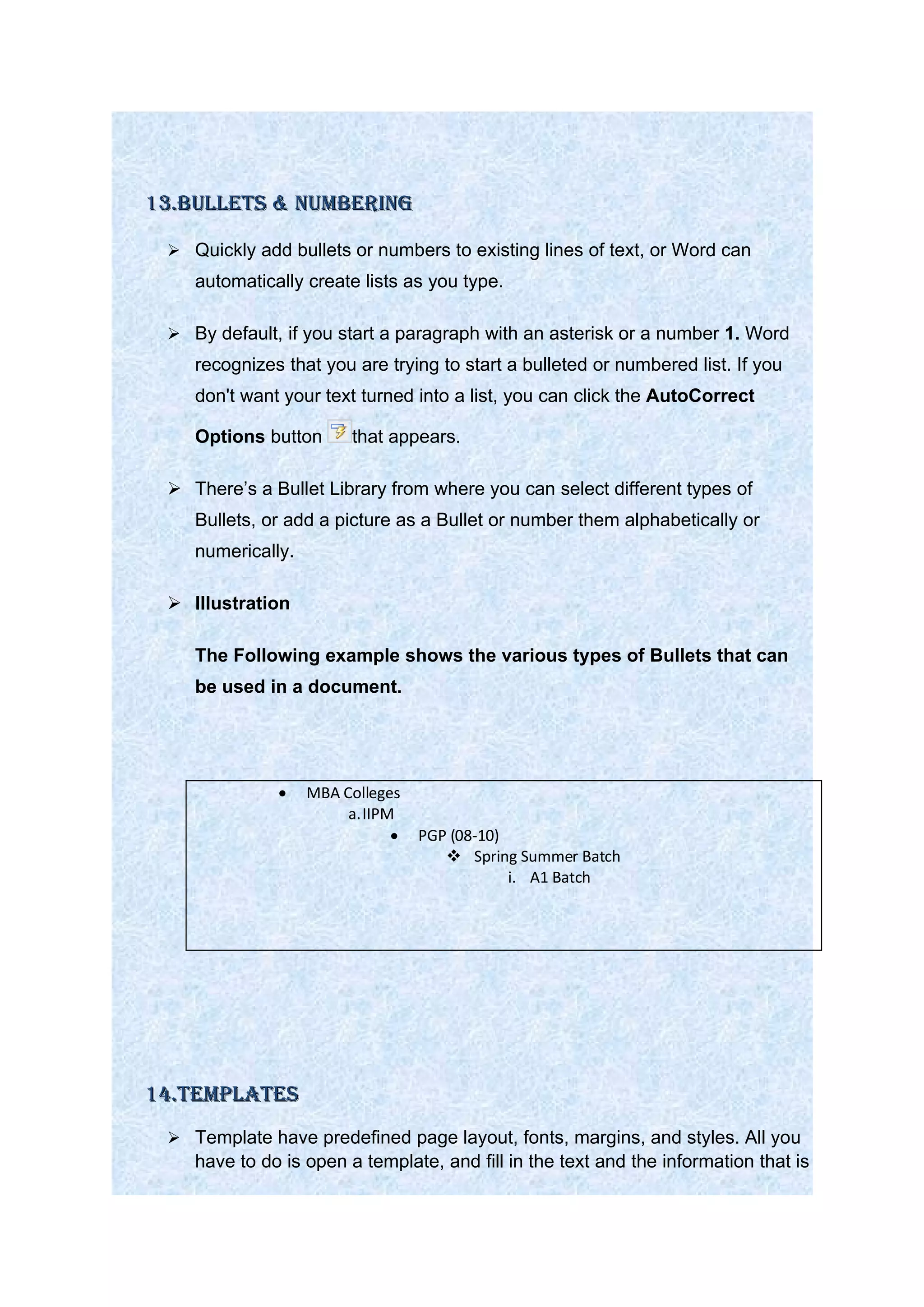 MS Word 2007_Features