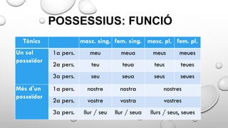 POSSESSIUS: FUNCIÓ
Tònics masc. sing. fem. sing. masc. pl. fem. pl.
Un sol
posseïdor
1a pers. meu meua meus meues
2a pers. teu teua teus teues
3a pers. seu seua seus seues
Més d'un
posseïdor
1a pers. nostre nostra nostres
2a pers. vostre vostra vostres
3a pers. llur / seu llur / seua llurs / seus, seues
 