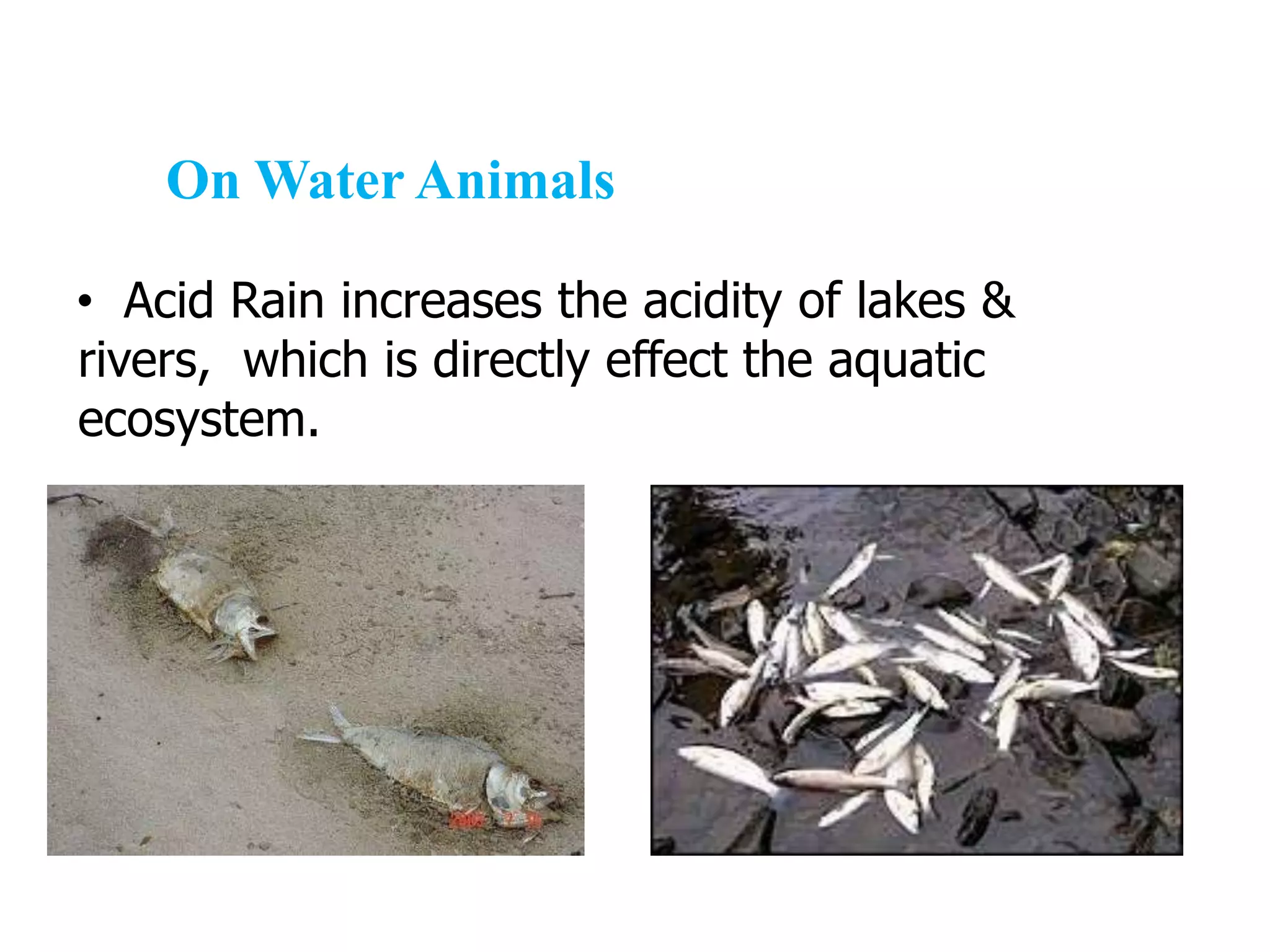 Acid rain its Causes and Effects | PPT