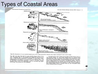 Types of Coastal Areas  