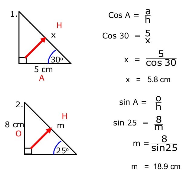 Ms1 trig ratio
