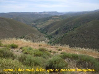 como é dos mais belos que se possam imaginar.
 