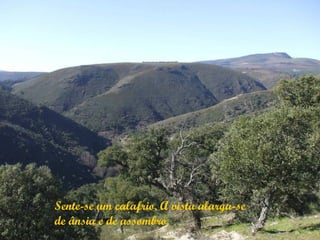 Sente-se um calafrio. A vista alarga-se
de ânsia e de assombro.
 