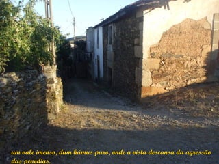 um vale imenso, dum húmus puro, onde a vista descansa da agressão
das penedias.
 