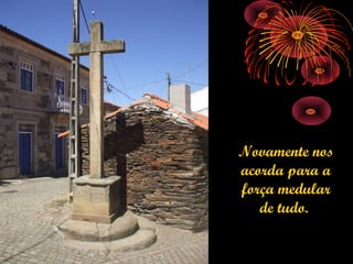 Novamente nos
acorda para a
força medular
   de tudo.
 