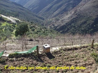 E são outra vez serras, até perder de vista.
 