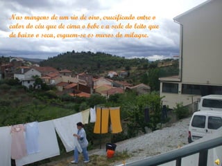 Nas margens de um rio de oiro, crucificado entre o
calor do céu que de cima o bebe e a sede do leito que
de baixo o seca, erguem-se os muros do milagre.
 