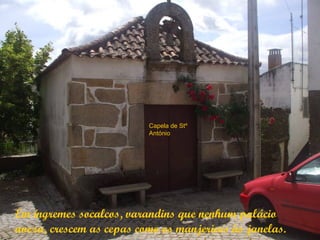 Capela de Stº
                          António




Em íngremes socalcos, varandins que nenhum palácio
aveza, crescem as cepas como os manjericos às janelas.
 