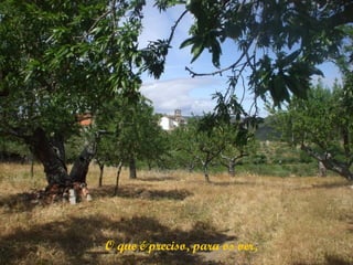 O que é preciso, para os ver,
 