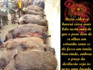 Resta saber se
haverá coisa mais
bela nesta vida do
que o puro dom de
    se olhar um
 estranho como se
ele fosse um irmão
bem-vindo, embora
     o preço da
 desilusão seja às
 