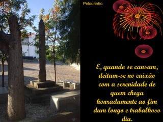 Pelourinho




      E, quando se cansam,
       deitam-se no caixão
       com a serenidade de
           quem chega
      honradamente ao fim
     dum longo e trabalhoso
               dia.
 