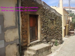 Como os rijos carvalhos me acenaram,
Mal eu surgi, cansado, da distância!
 