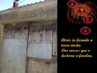 Atrás ia ficando a
terra morta
Dos versos que o
desterro esfarelou.
 