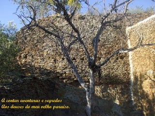 A contar aventuras e segredos
Aos deuses do meu velho paraíso.
 