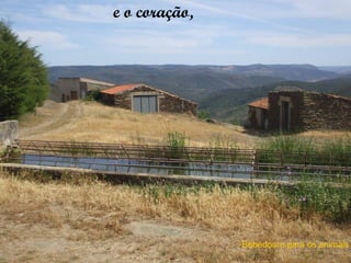 e o coração,




               Bebedouro para os animais
 