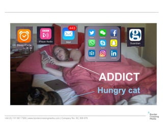 +44 (0) 131 561 7300 | www.bordercrossingmedia.com | Company No: SC 308 978
ADDICT
Hungry cat
 