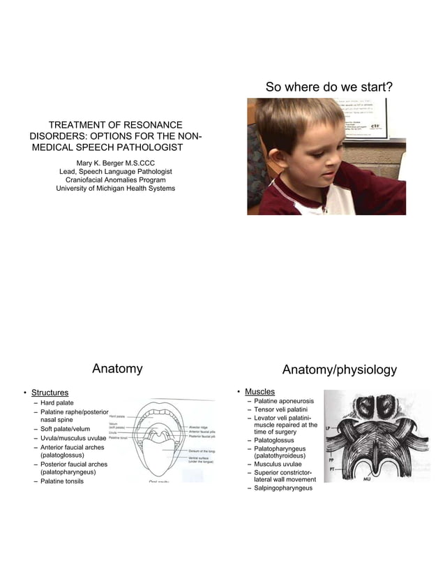 TREATMENT OF RESONANCE DISORDERS OPTIONS FOR THE NONMEDICAL SPEECH