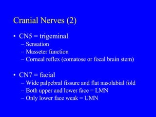 Cn5 Febrile Seizures | PPT