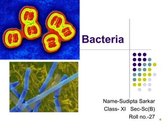 Bacteria
Name-Sudipta Sarkar
Class- XI Sec-Sc(B)
Roll no.-27
 