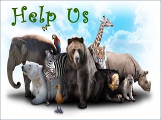 Help Us
 