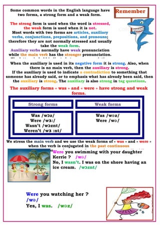 MS4 Project Three