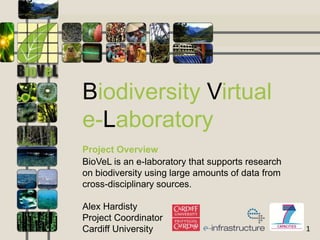 Biodiversity Virtual
e-Laboratory
Project Overview
BioVeL is an e-laboratory that supports research
on biodiversity using large amounts of data from
cross-disciplinary sources.

Alex Hardisty
Project Coordinator
Cardiff University                                 1
 