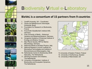 Biodiversity Virtual e-Laboratory (BioVeL) | PDF