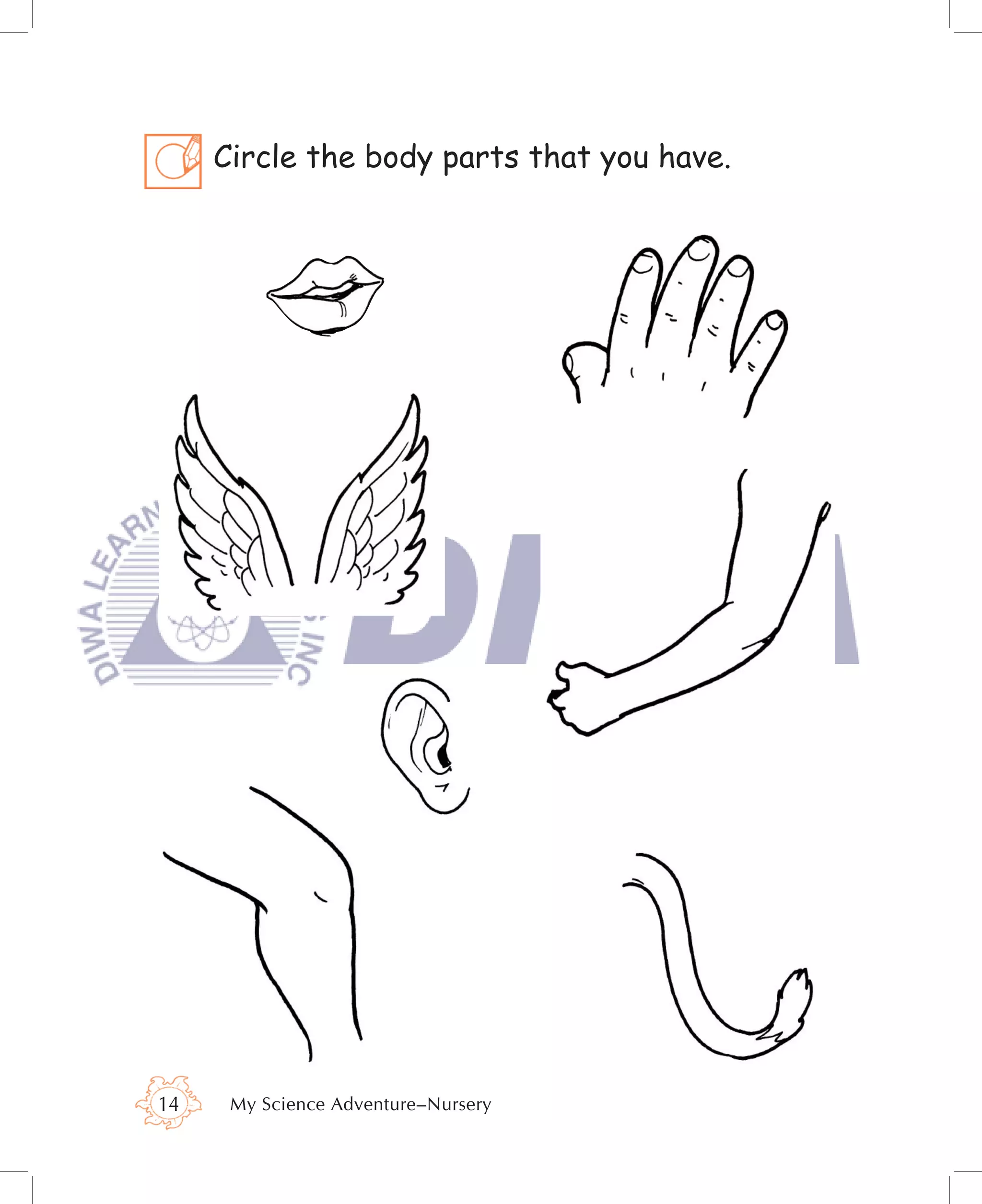 Circle the body parts that you have.




14    My Science Adventure–Nursery
 