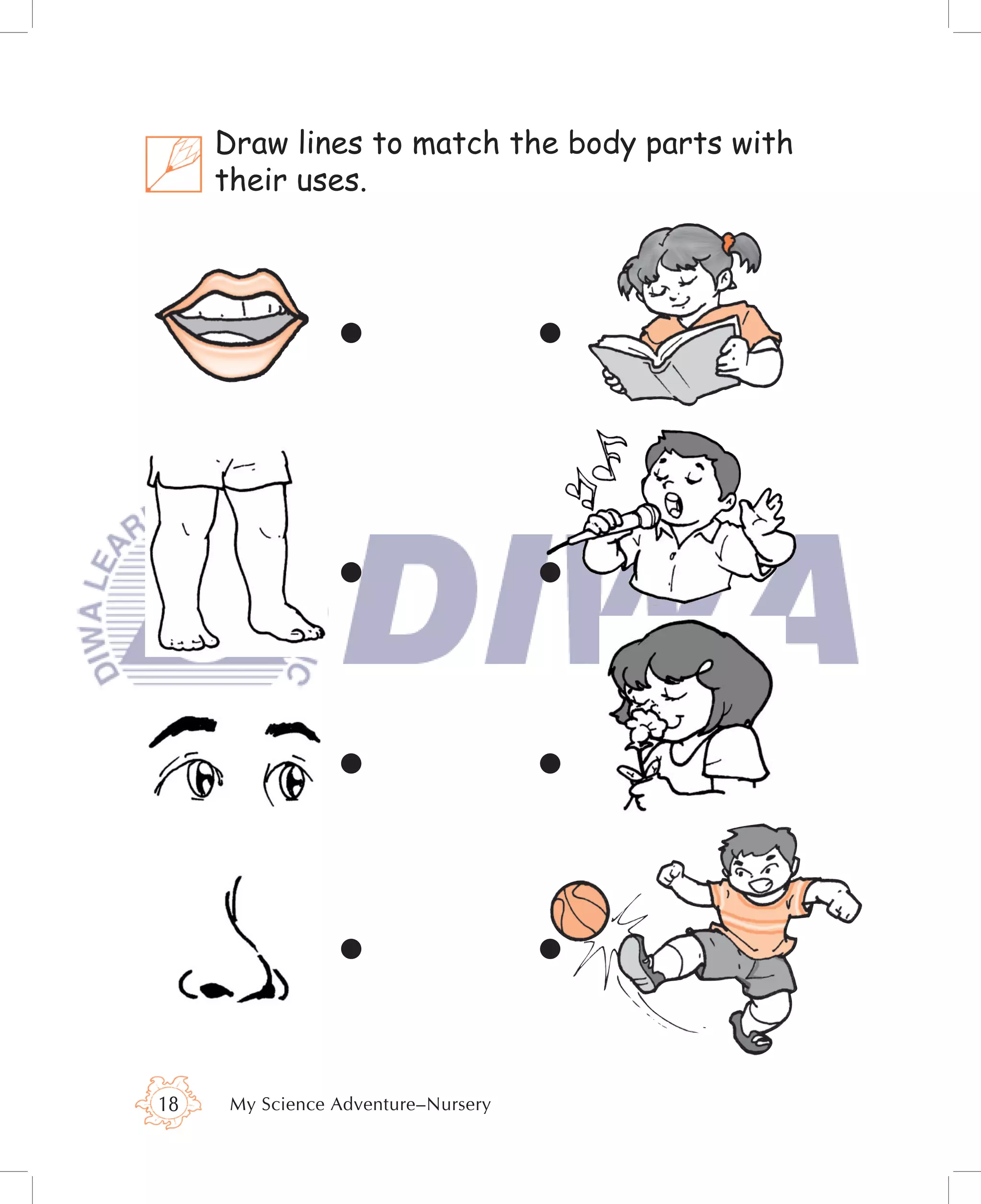 Draw lines to match the body parts with
     their uses.




18    My Science Adventure–Nursery
 