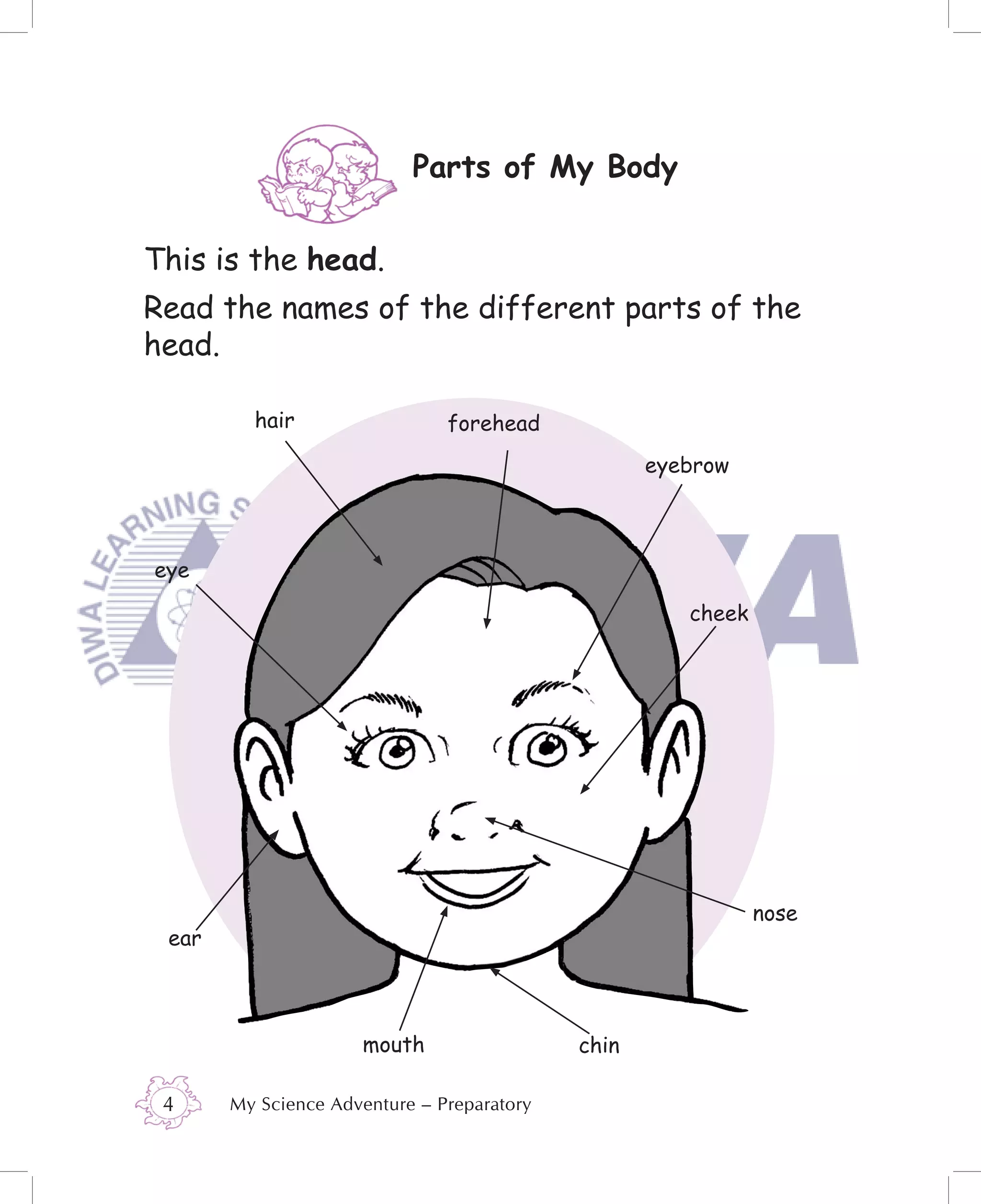Parts of My Body


This is the head.
Read the names of the different parts of the
head.

         hair                  forehead
                                                   eyebrow



eye

                                                      cheek




                                                              nose
 ear



                     mouth                  chin

 4     My Science Adventure – Preparatory
 