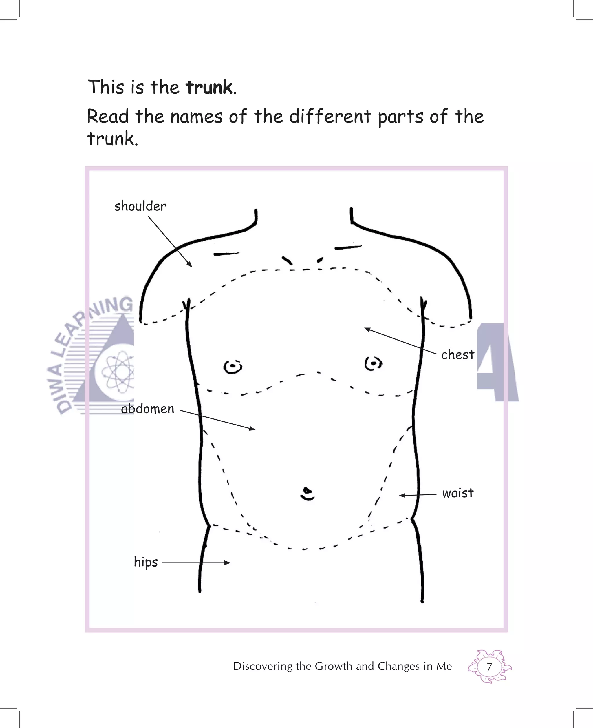 This is the trunk.
Read the names of the different parts of the
trunk.


   shoulder




                                                      chest



    abdomen




                                                       waist




     hips




                 Discovering the Growth and Changes in Me      7
 