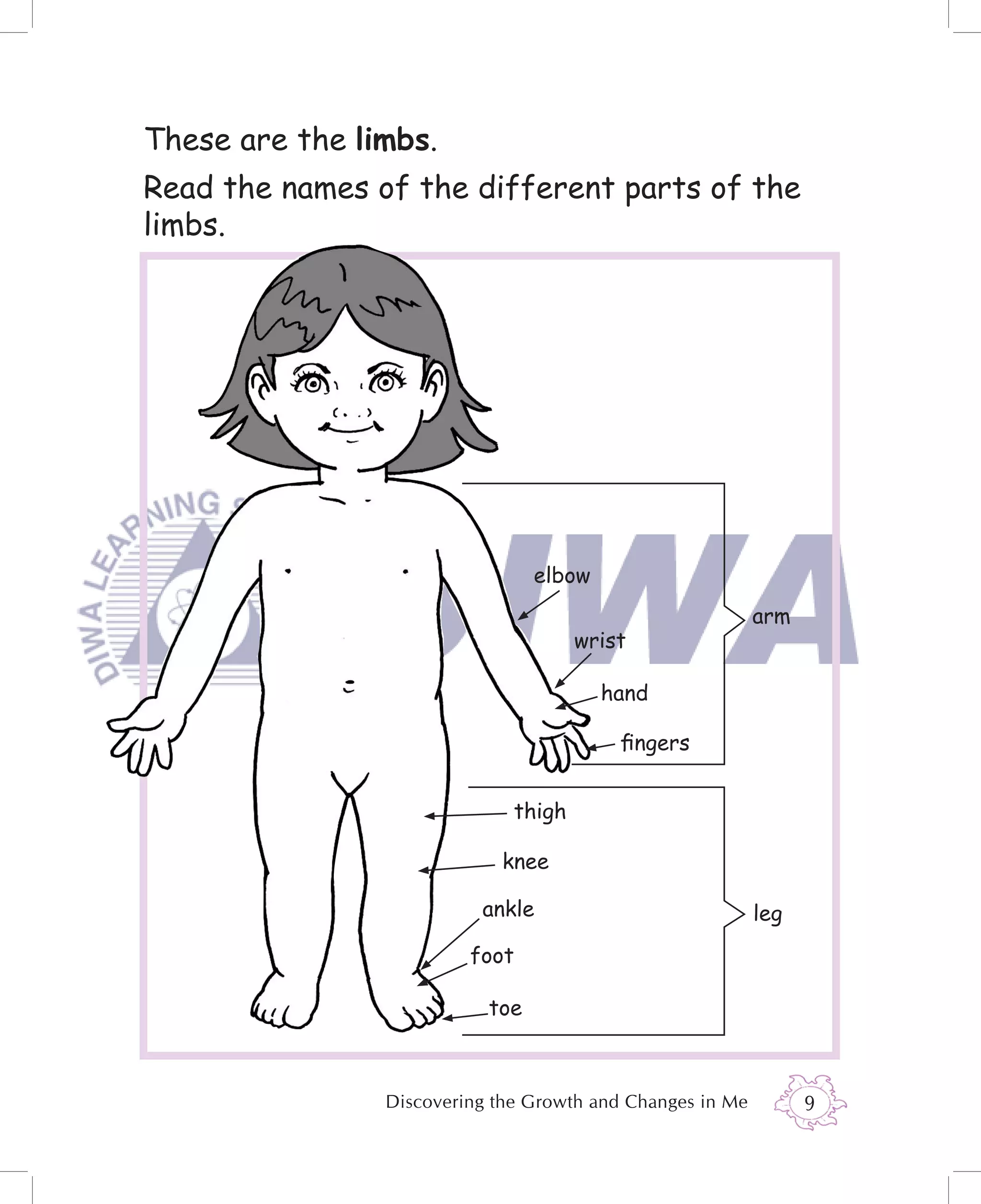These are the limbs.
Read the names of the different parts of the
limbs.




                                 elbow
                                                           arm
                                      wrist

                                         hand

                                          ﬁngers


                              thigh

                            knee

                          ankle                            leg
                         foot

                           toe



                Discovering the Growth and Changes in Me         9
 