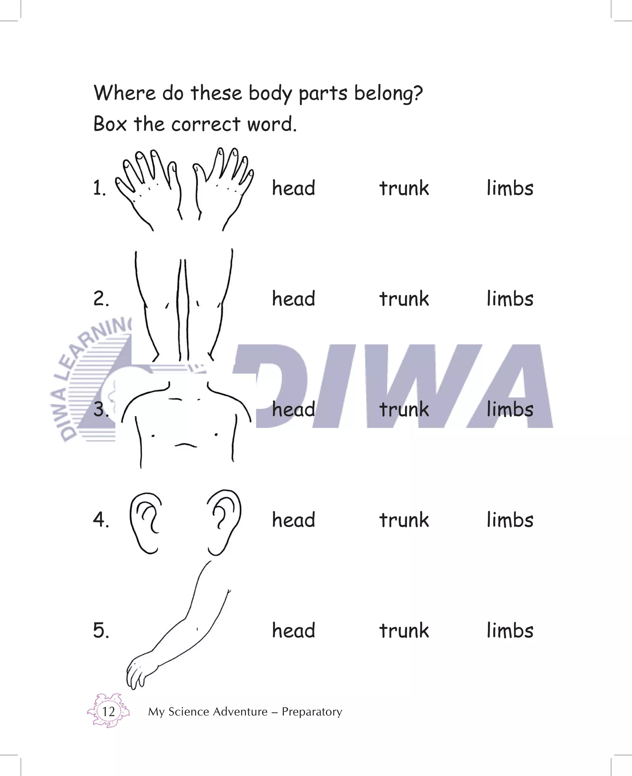 Where do these body parts belong?
Box the correct word.


1.                         head            trunk   limbs




2.                         head            trunk   limbs




3.                         head            trunk   limbs




4.                         head            trunk   limbs




5.                         head            trunk   limbs


 12   My Science Adventure – Preparatory
 