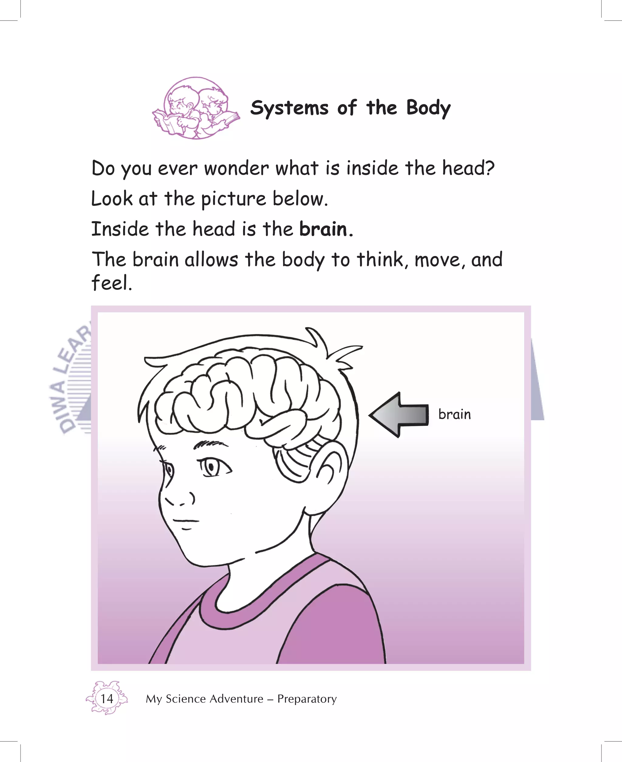 Systems of the Body


Do you ever wonder what is inside the head?
Look at the picture below.
Inside the head is the brain.
The brain allows the body to think, move, and
feel.




                                           brain




14    My Science Adventure – Preparatory
 