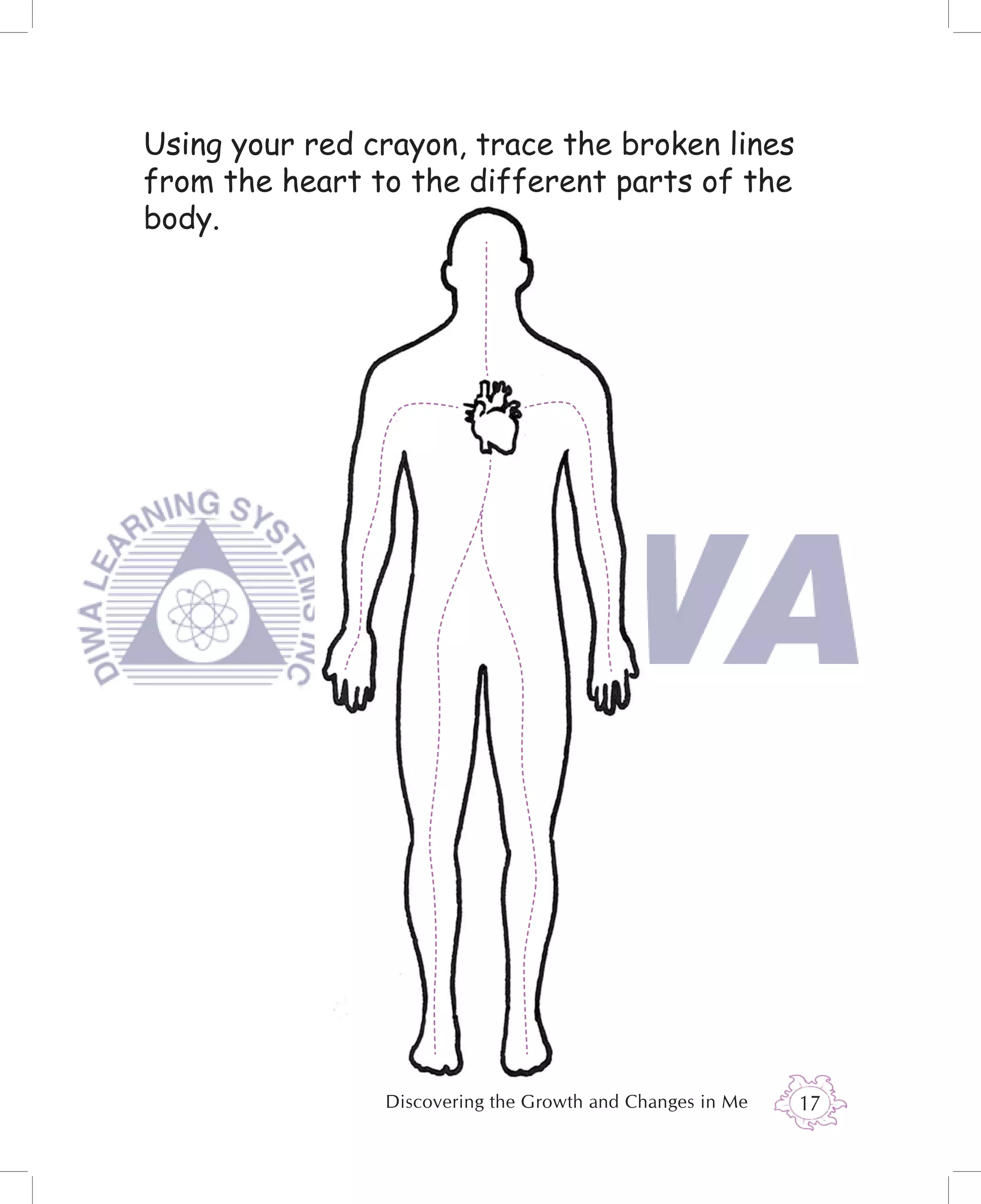 Using your red crayon, trace the broken lines
from the heart to the different parts of the
body.




                Discovering the Growth and Changes in Me   17
 