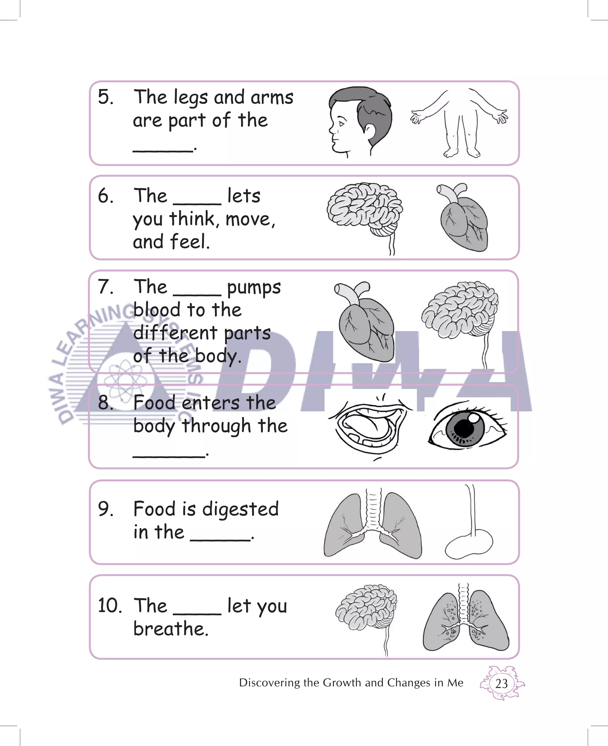 5. The legs and arms
   are part of the
   _____.

6. The ____ lets
   you think, move,
   and feel.

7. The ____ pumps
   blood to the
   different parts
   of the body.

8. Food enters the
   body through the
   ______.


9. Food is digested
   in the _____.


10. The ____ let you
    breathe.

               Discovering the Growth and Changes in Me   23
 