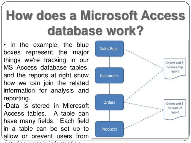 ms access ms access reporting